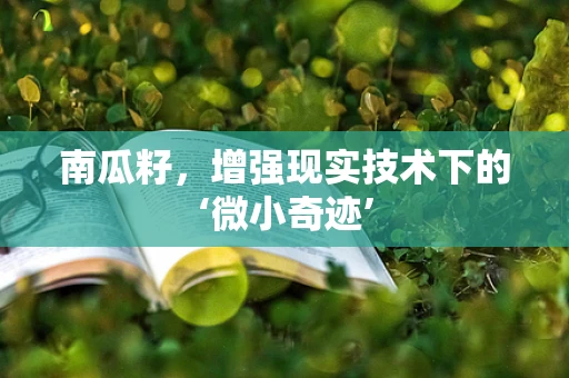 南瓜籽，增强现实技术下的‘微小奇迹’