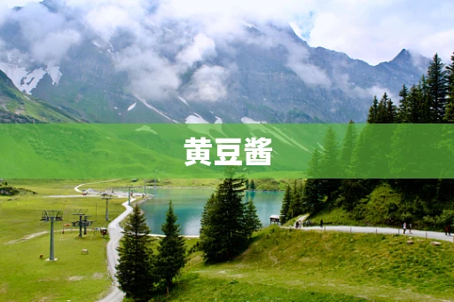 黄豆酱