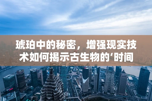 琥珀中的秘密，增强现实技术如何揭示古生物的‘时间囊’？