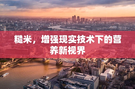 糙米，增强现实技术下的营养新视界