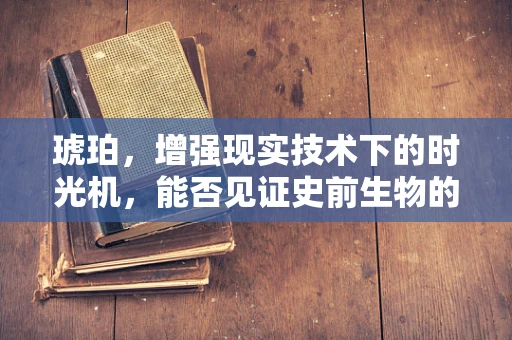 琥珀，增强现实技术下的时光机，能否见证史前生物的秘密？