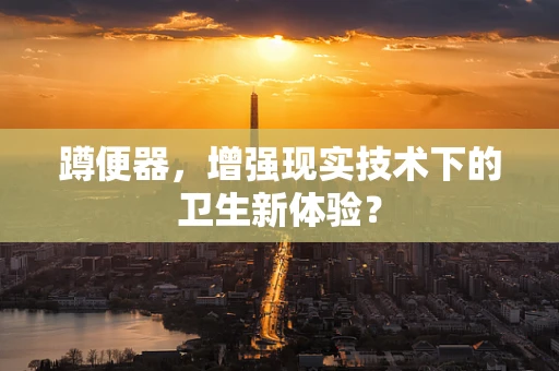 蹲便器，增强现实技术下的卫生新体验？