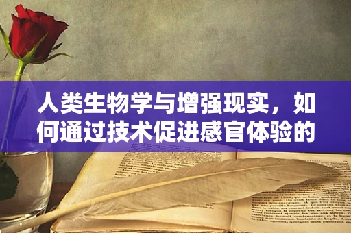 人类生物学与增强现实，如何通过技术促进感官体验的进化？