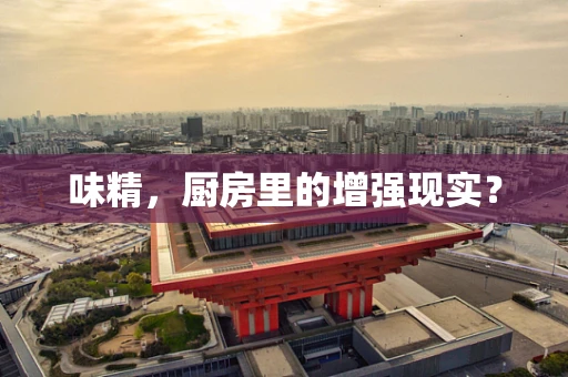 味精，厨房里的增强现实？