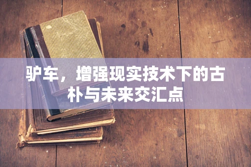 驴车，增强现实技术下的古朴与未来交汇点