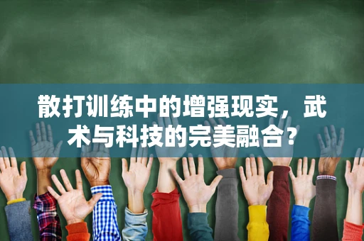 散打训练中的增强现实，武术与科技的完美融合？