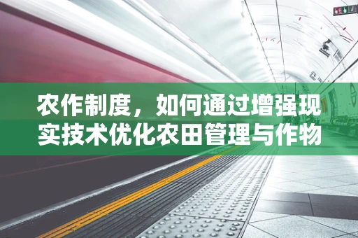 农作制度，如何通过增强现实技术优化农田管理与作物布局？