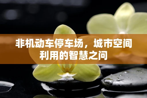 非机动车停车场，城市空间利用的智慧之问