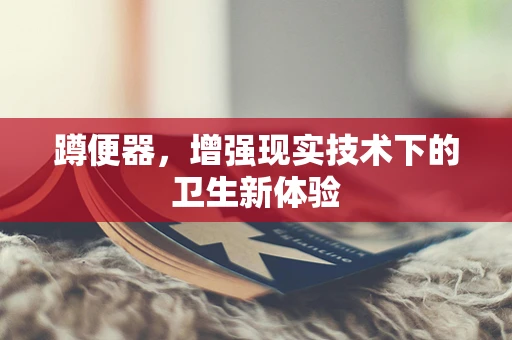 蹲便器，增强现实技术下的卫生新体验