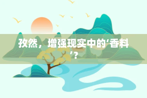 孜然，增强现实中的‘香料’？