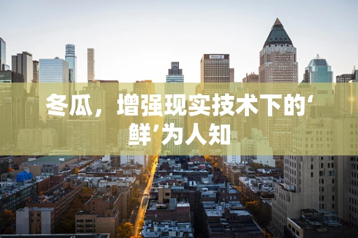 冬瓜，增强现实技术下的‘鲜’为人知
