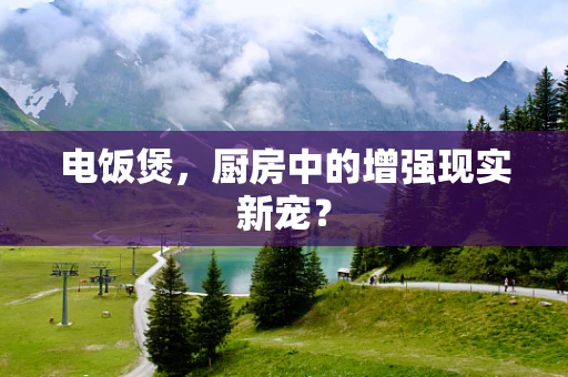 电饭煲，厨房中的增强现实新宠？