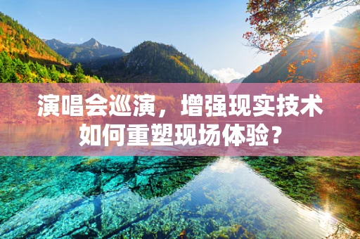 演唱会巡演，增强现实技术如何重塑现场体验？