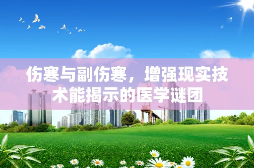 伤寒与副伤寒，增强现实技术能揭示的医学谜团