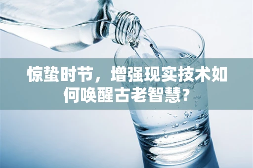 惊蛰时节，增强现实技术如何唤醒古老智慧？