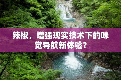 辣椒，增强现实技术下的味觉导航新体验？