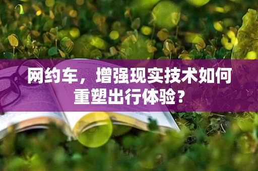 网约车，增强现实技术如何重塑出行体验？