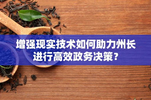 增强现实技术如何助力州长进行高效政务决策？