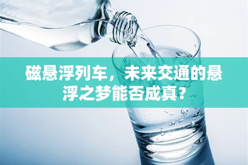 磁悬浮列车，未来交通的悬浮之梦能否成真？