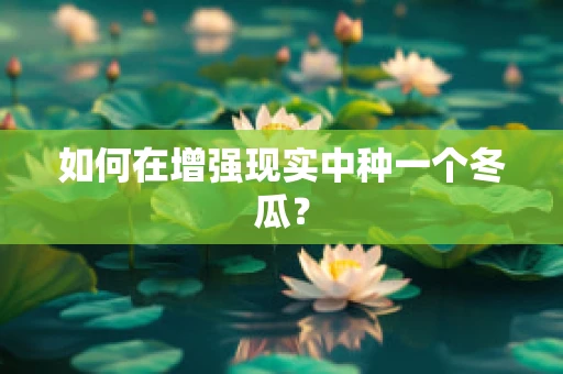 如何在增强现实中种一个冬瓜？