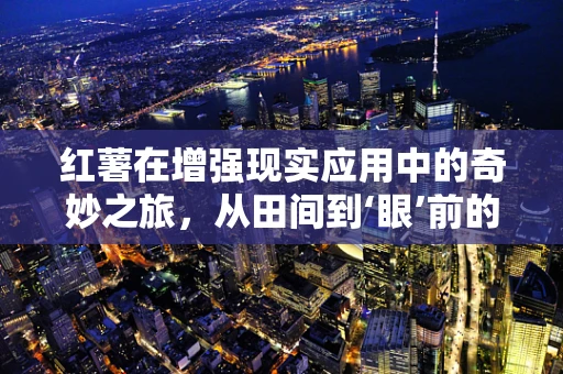 红薯在增强现实应用中的奇妙之旅，从田间到‘眼’前的惊喜