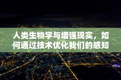 人类生物学与增强现实，如何通过技术优化我们的感知？