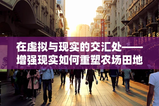 在虚拟与现实的交汇处——增强现实如何重塑农场田地的未来？