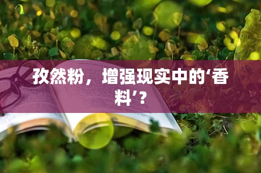 孜然粉，增强现实中的‘香料’？
