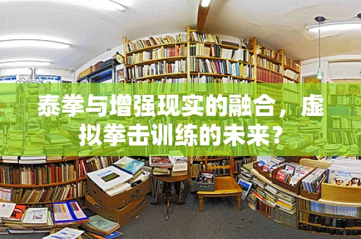 泰拳与增强现实的融合，虚拟拳击训练的未来？