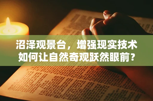 沼泽观景台，增强现实技术如何让自然奇观跃然眼前？
