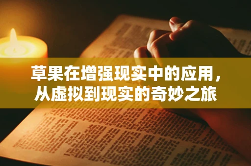 草果在增强现实中的应用，从虚拟到现实的奇妙之旅