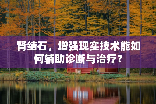 肾结石，增强现实技术能如何辅助诊断与治疗？