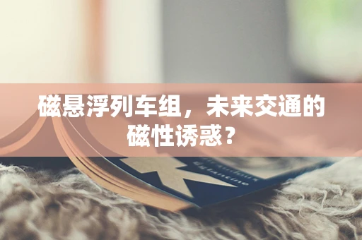 磁悬浮列车组，未来交通的磁性诱惑？
