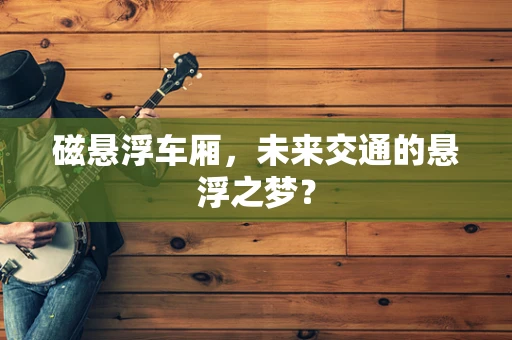 磁悬浮车厢，未来交通的悬浮之梦？