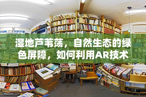 湿地芦苇荡，自然生态的绿色屏障，如何利用AR技术增强其保护与教育价值？
