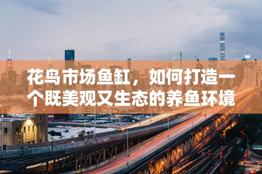 花鸟市场鱼缸，如何打造一个既美观又生态的养鱼环境？
