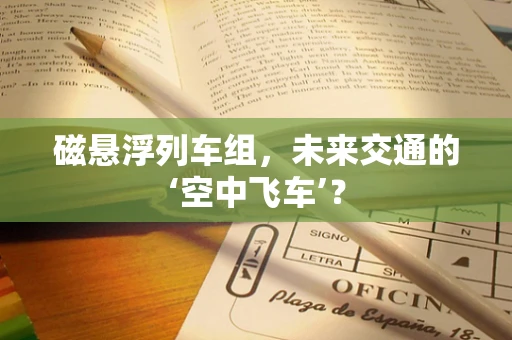 磁悬浮列车组，未来交通的‘空中飞车’？