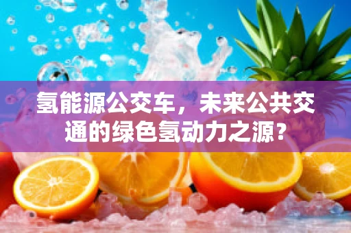 氢能源公交车，未来公共交通的绿色氢动力之源？