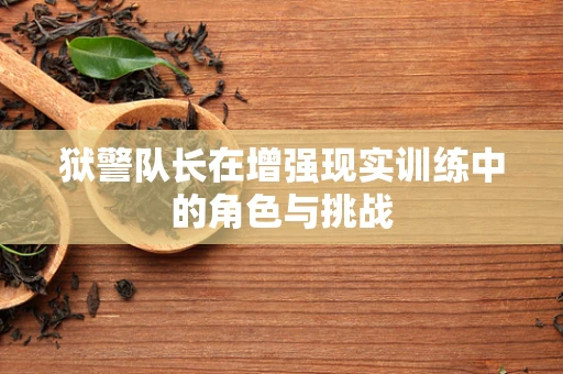 狱警队长在增强现实训练中的角色与挑战