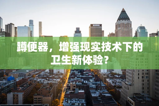 蹲便器，增强现实技术下的卫生新体验？