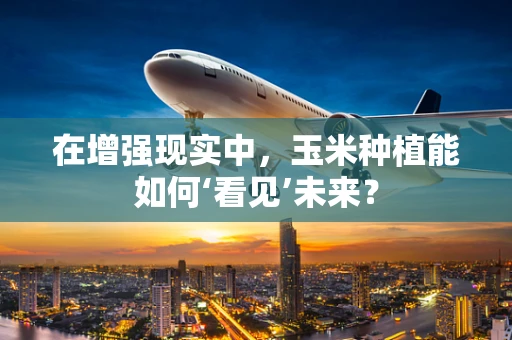 在增强现实中，玉米种植能如何‘看见’未来？