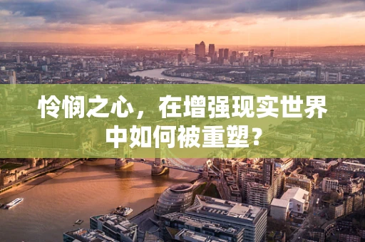 怜悯之心，在增强现实世界中如何被重塑？