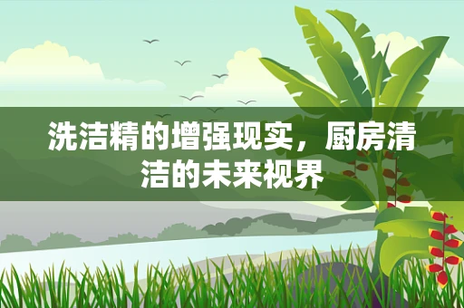洗洁精的增强现实，厨房清洁的未来视界