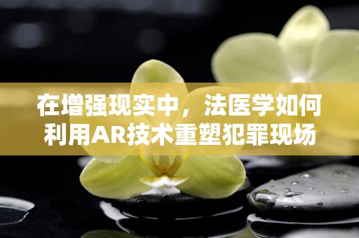 在增强现实中，法医学如何利用AR技术重塑犯罪现场？