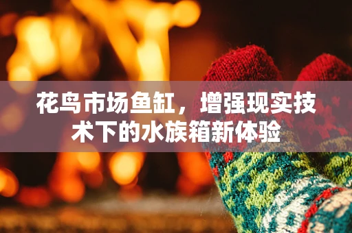 花鸟市场鱼缸，增强现实技术下的水族箱新体验
