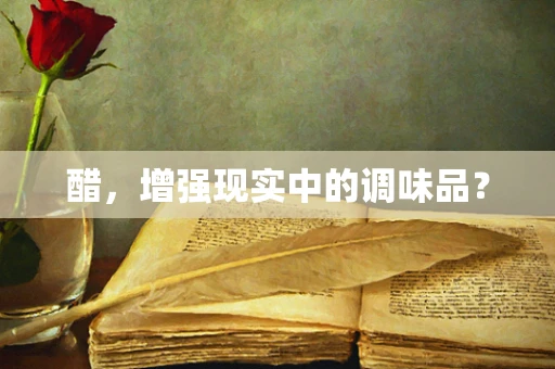 醋，增强现实中的调味品？
