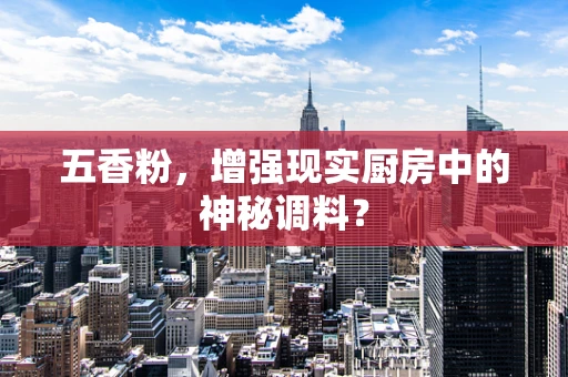 五香粉，增强现实厨房中的神秘调料？