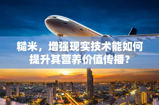 糙米，增强现实技术能如何提升其营养价值传播？