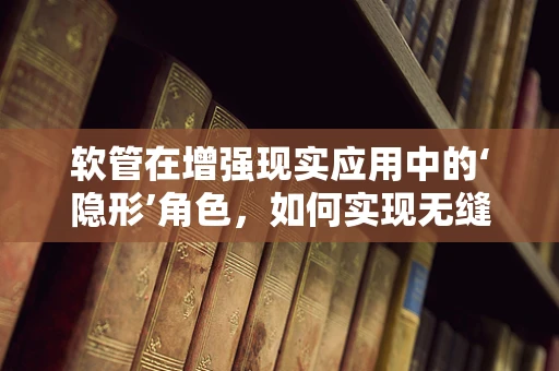 软管在增强现实应用中的‘隐形’角色，如何实现无缝融合？