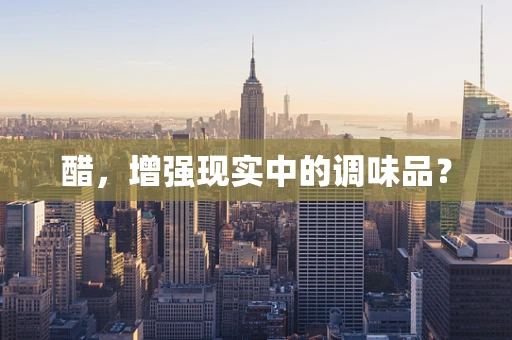 醋，增强现实中的调味品？